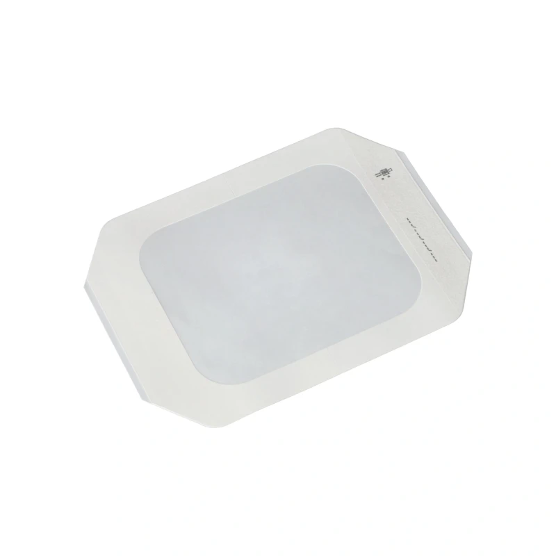 2123-elastoderm f bez vankusika 10x12 cm